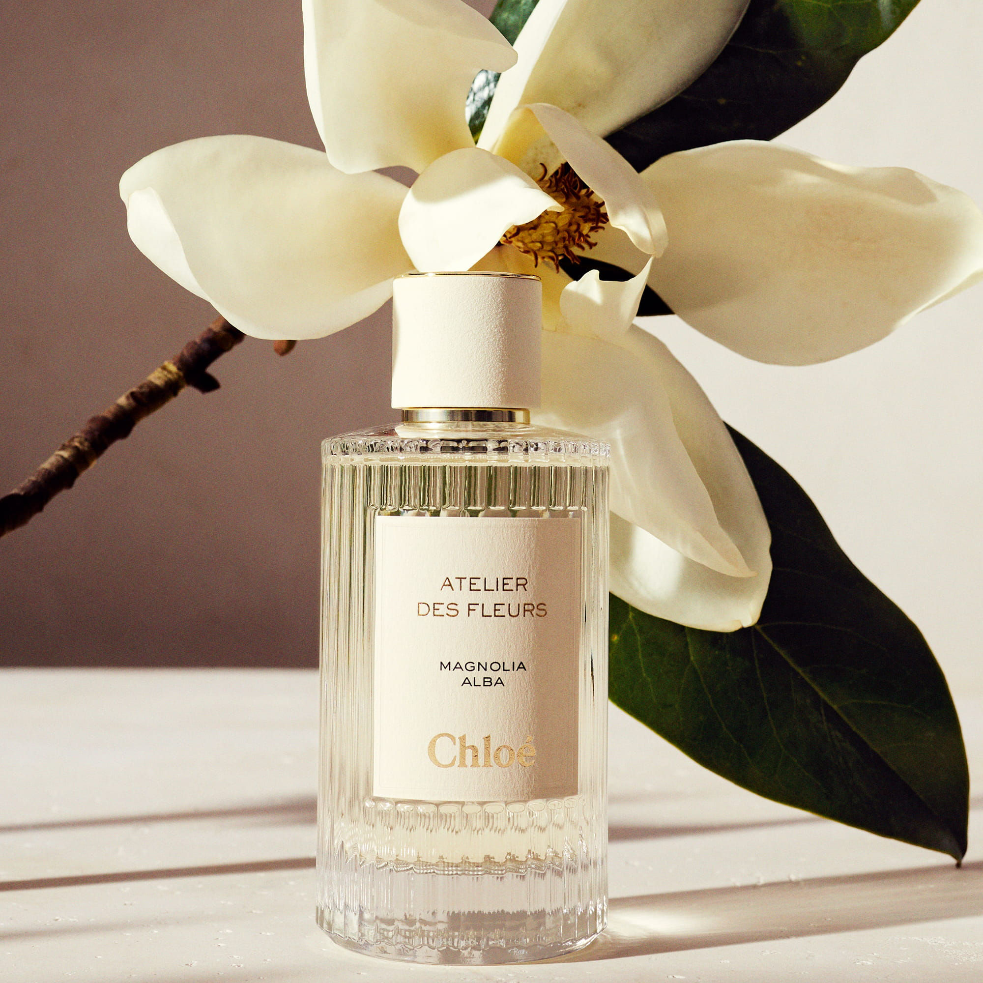 Signature Scent​