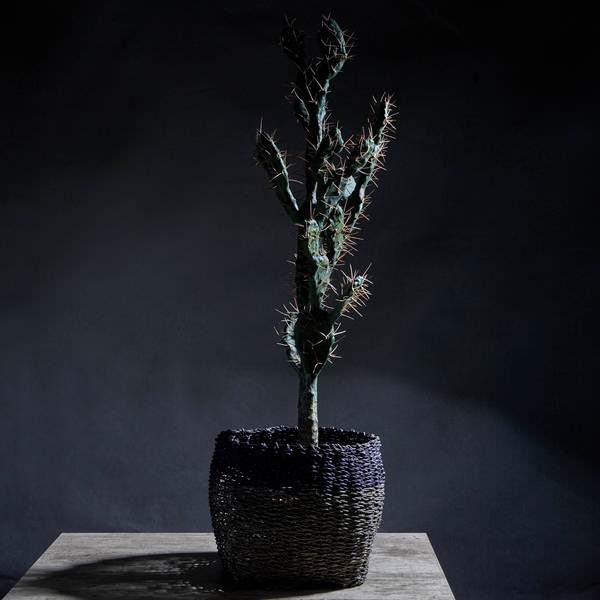 Aztec Cactus Large