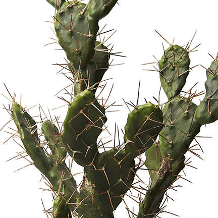 Aztec Cactus Large