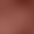 Rouge D'Armani Matte Lipstick