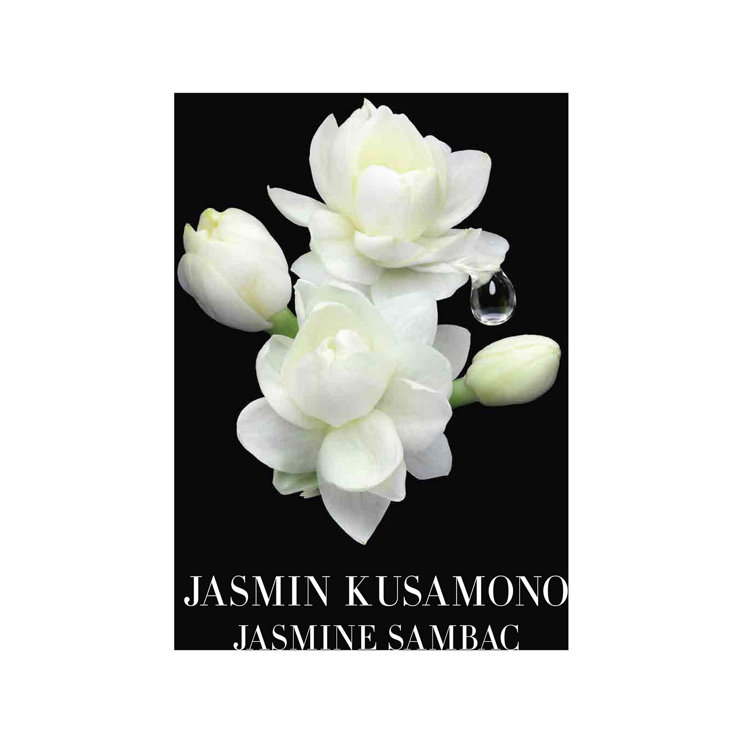 Jasmin Kusamono EDT 100ml