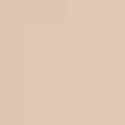Boi-ing Cakeless Concealer