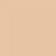 Boi-ing Cakeless Concealer