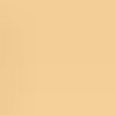 Intensive Serum Foundation SPF 40-30