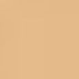 Intensive Serum Foundation SPF 40-30