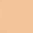 Intensive Serum Foundation SPF 40-30