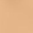 Skin Foundation Stick