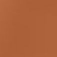 Skin Foundation Stick