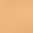 Skin Foundation Stick