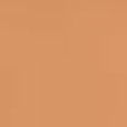 Light Wonder Youth-Boosting Perfect Skin Foundation SPF15
