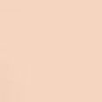 Light Wonder Youth-Boosting Perfect Skin Foundation SPF15