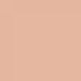 Longwear Concealer