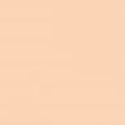 Longwear Concealer