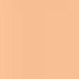 Ultra Le Teint Ultrawear - All-Day Comfort Flawless Finish Compact Foundation