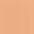 Ultra Le Teint Ultrawear - All-Day Comfort Flawless Finish Compact Foundation