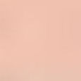 Everlasting Concealer