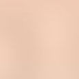 Everlasting Concealer