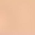 Everlasting Concealer