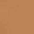 Moisture Surge Sheertint Hydrator SPF 25 40ml