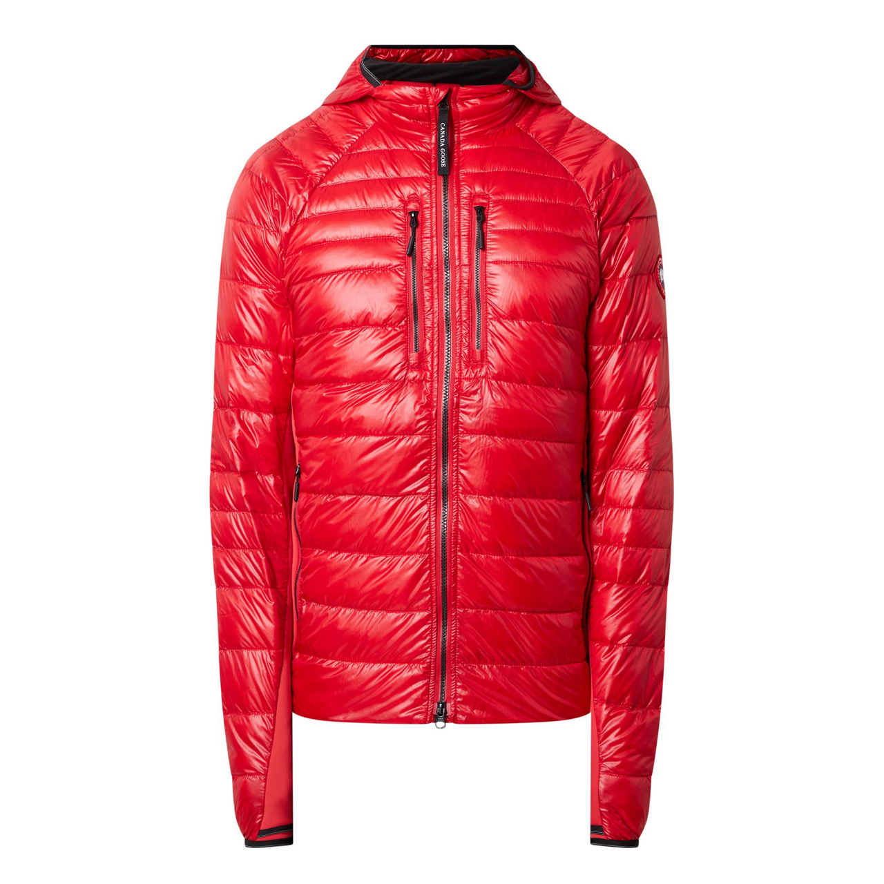 Canada goose 2024 red hybridge