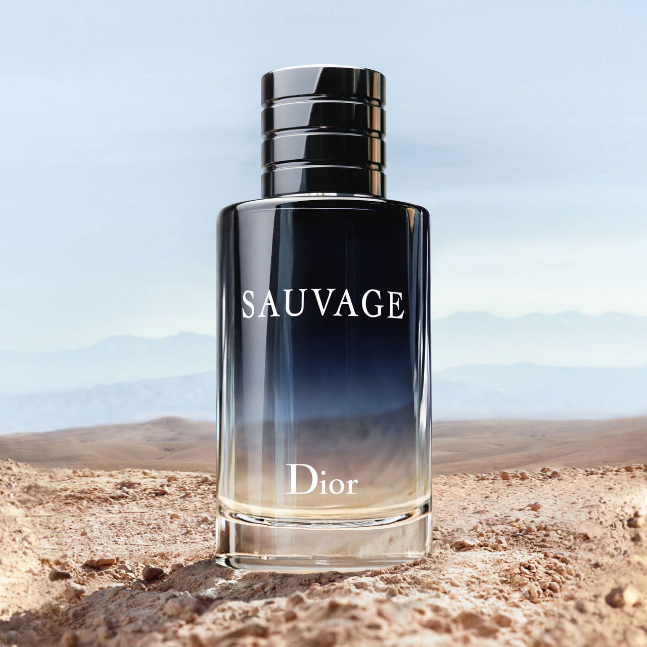 DIOR Sauvage Eau de Toilette 30ml