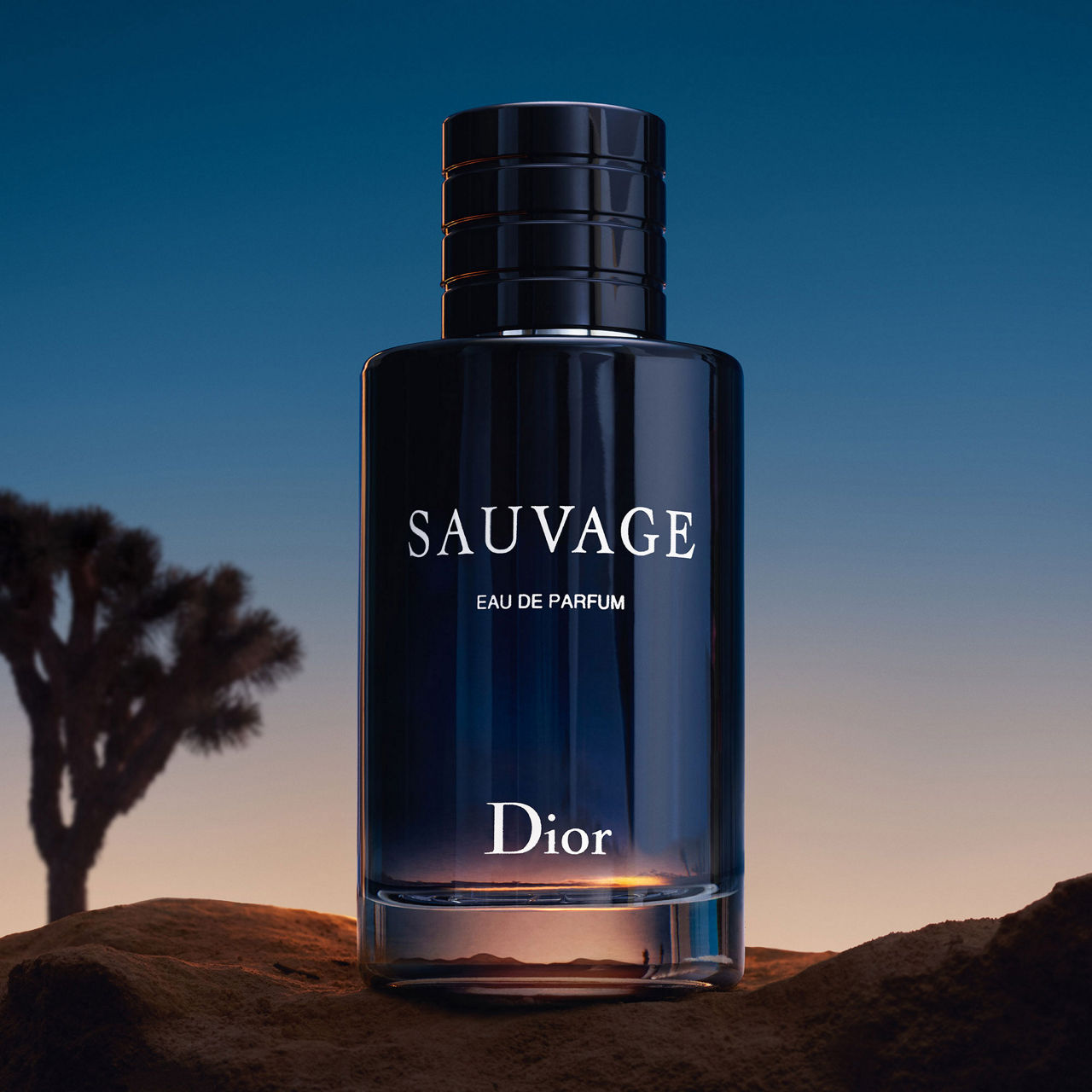 Dior men's sauvage eau de toilette spray online