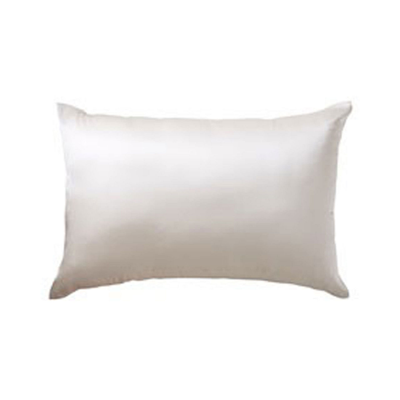 GINGERLILY Silk Housewife Pillowcase