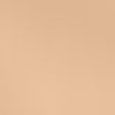 Teint Idole Ultra Wear Stick Foundation