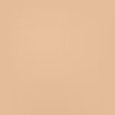 Teint Idole Ultra Wear Stick Foundation