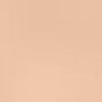 Teint Idole Ultra Wear Stick Foundation