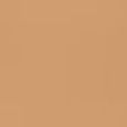 Teint Idole Ultra Wear Stick Foundation
