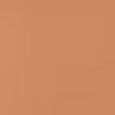 Teint Idole Ultra Wear Stick Foundation