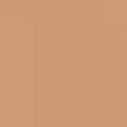 Teint Idole Ultra Wear Stick Foundation
