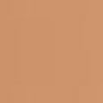 Teint Idole Ultra Wear Stick Foundation