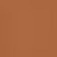 Teint Idole Ultra Wear Stick Foundation
