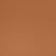 Teint Idole Ultra Wear Stick Foundation
