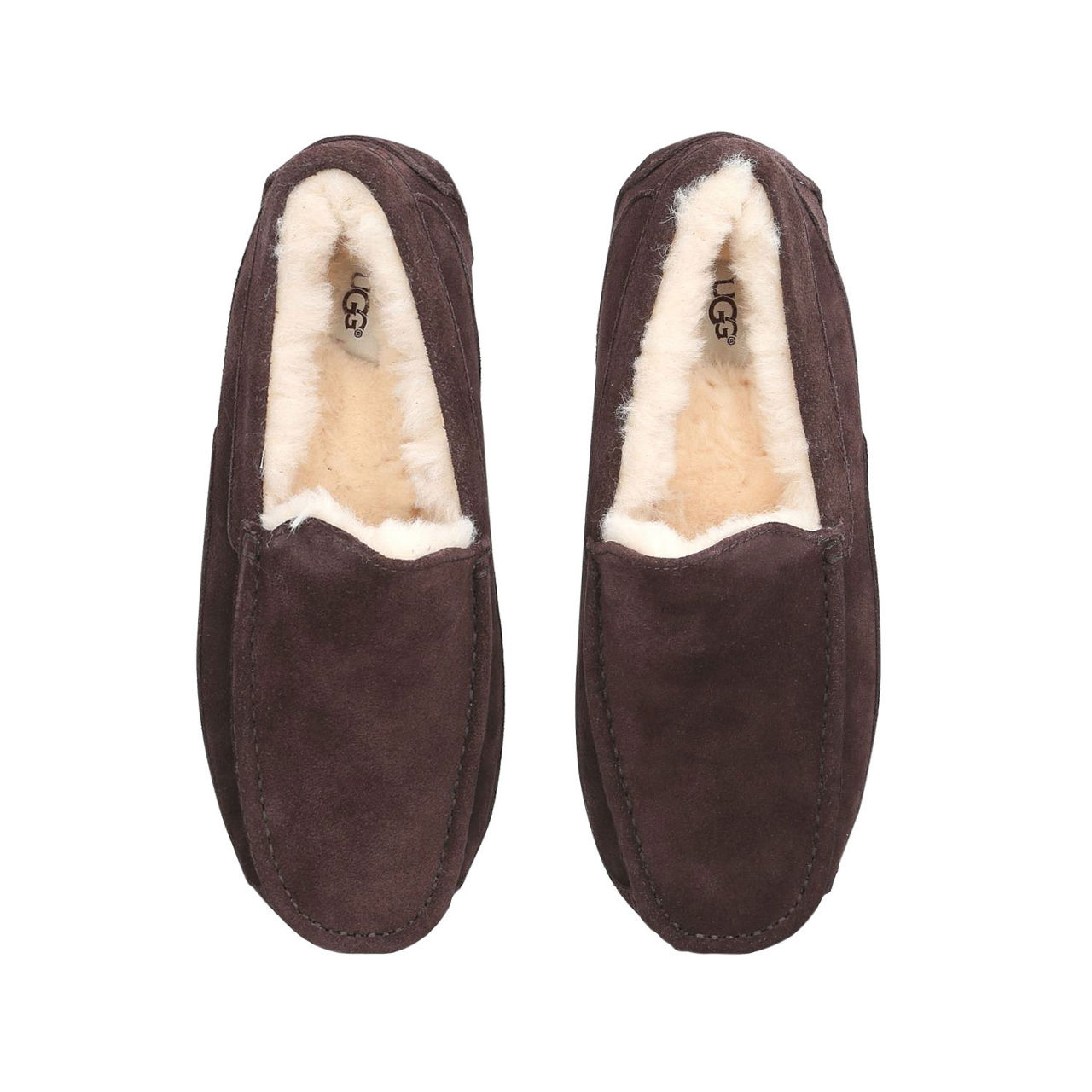 Mens ugg ascot clearance slippers