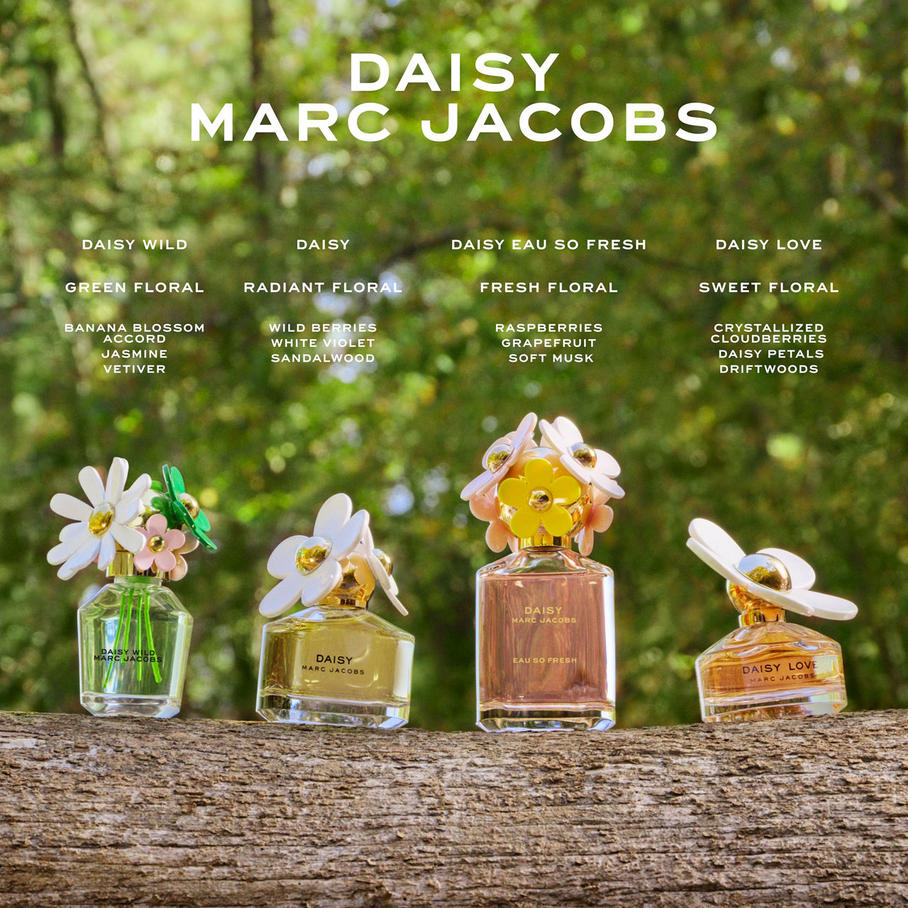 Daisy love eau so sweet hotsell