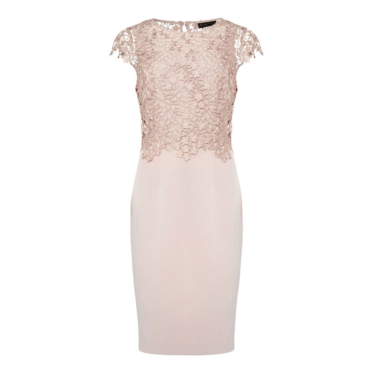 Charlotte lace store dress phase eight