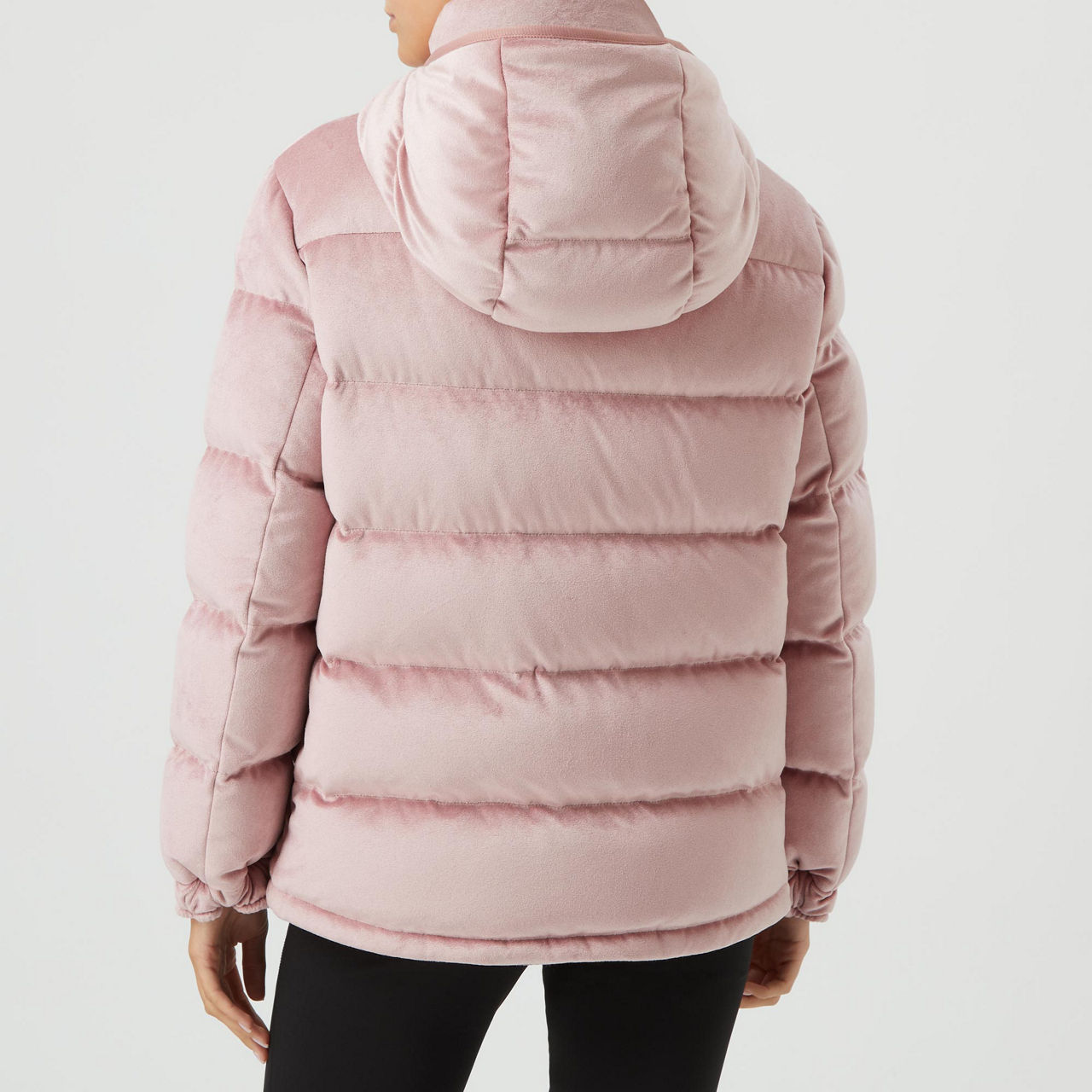 Moncler hotsell velour jacket