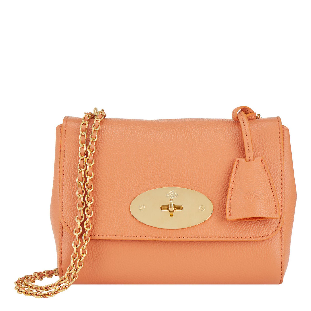 Mulberry Women's Leather Lily Small Bag Pink