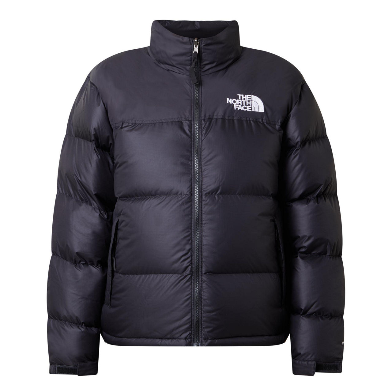 Nuptse north on sale face coat