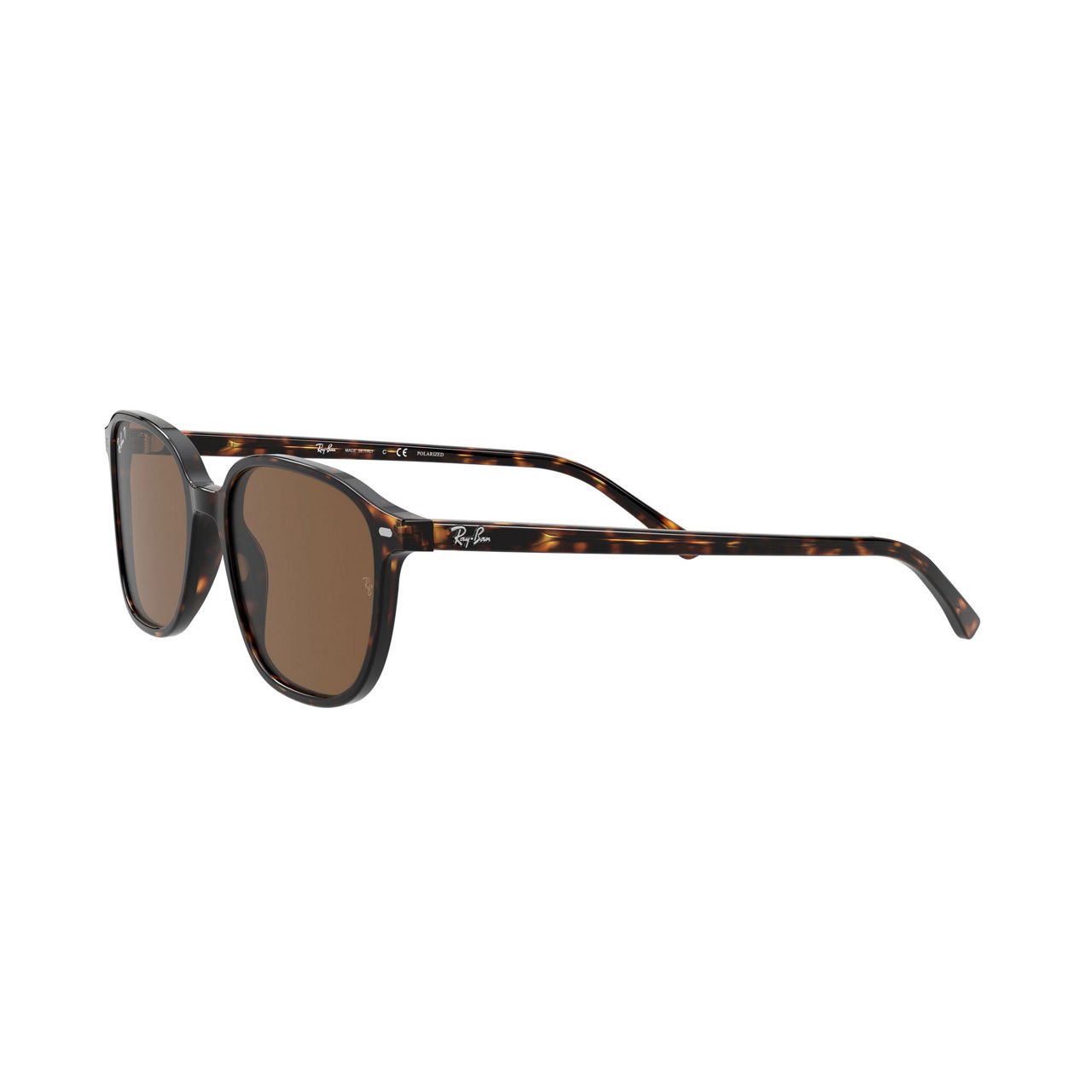 RAY BAN Leonard Square Sunglasses