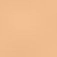 Studio Skin Full Coverage 24 Hour Foundation