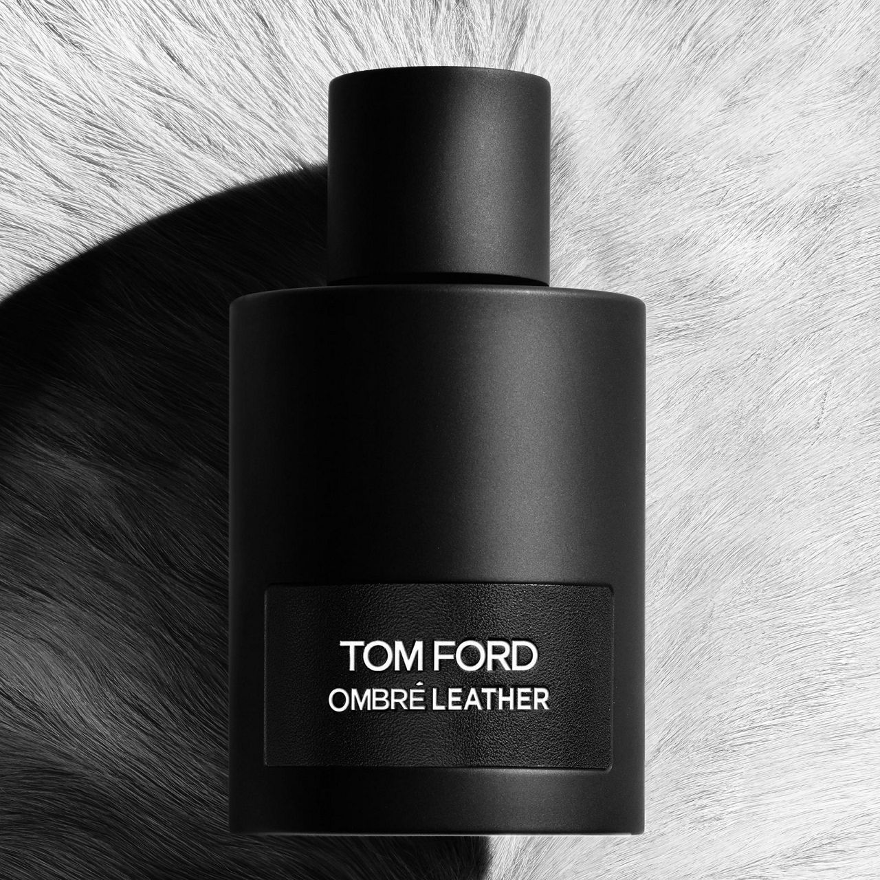 Tom ford discount ombré leather primor