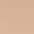 Born This Way Foundation