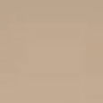 Born This Way Foundation