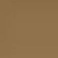 Born This Way Foundation