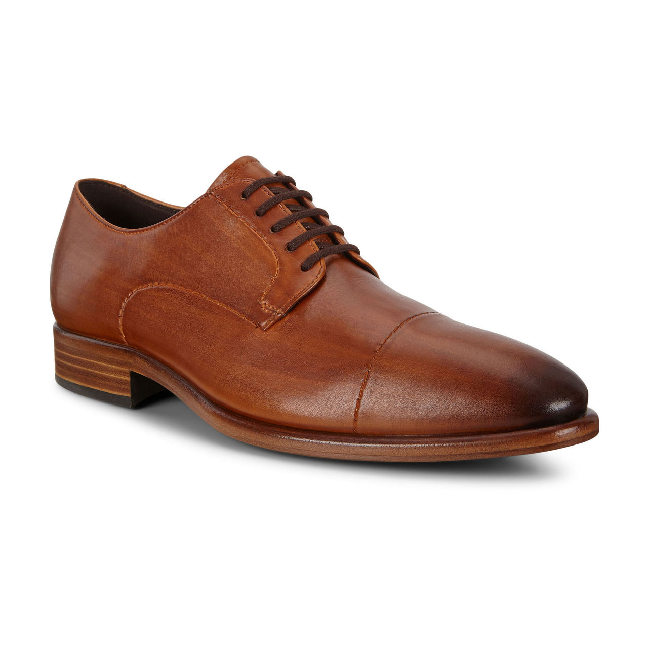 ECCO Vitrus Mondial Derby Shoes