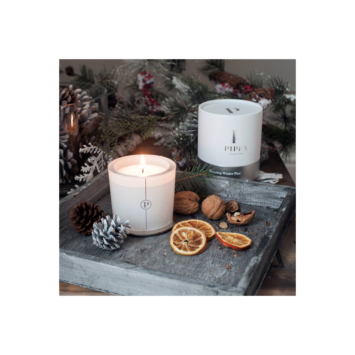 Warming Winter Pine Candle